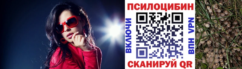 mega онион  Камышлов  Псилоцибиновые грибы GOLDEN TEACHER 